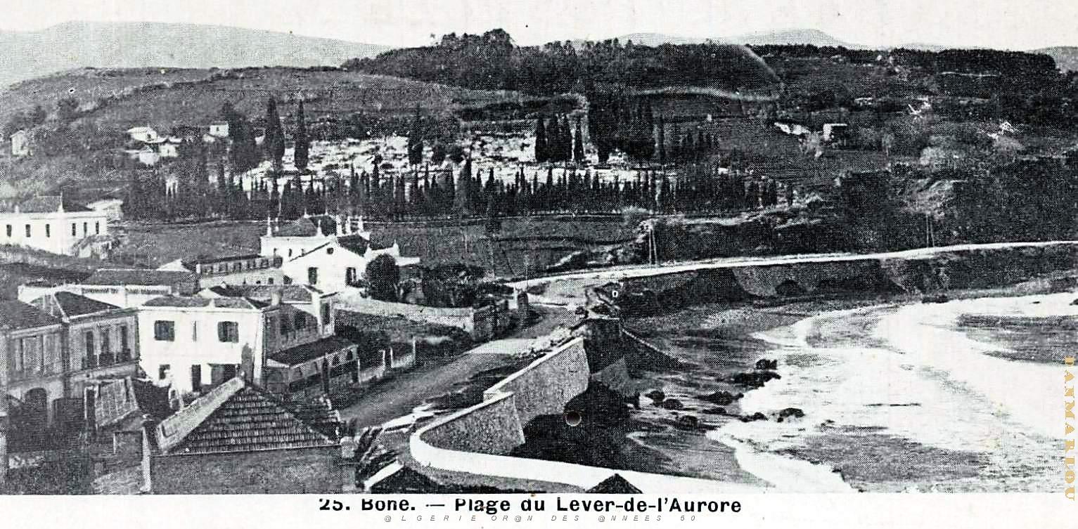 Bone - Plage du Lever de l'Aurore depuis les hauteurs.jpg